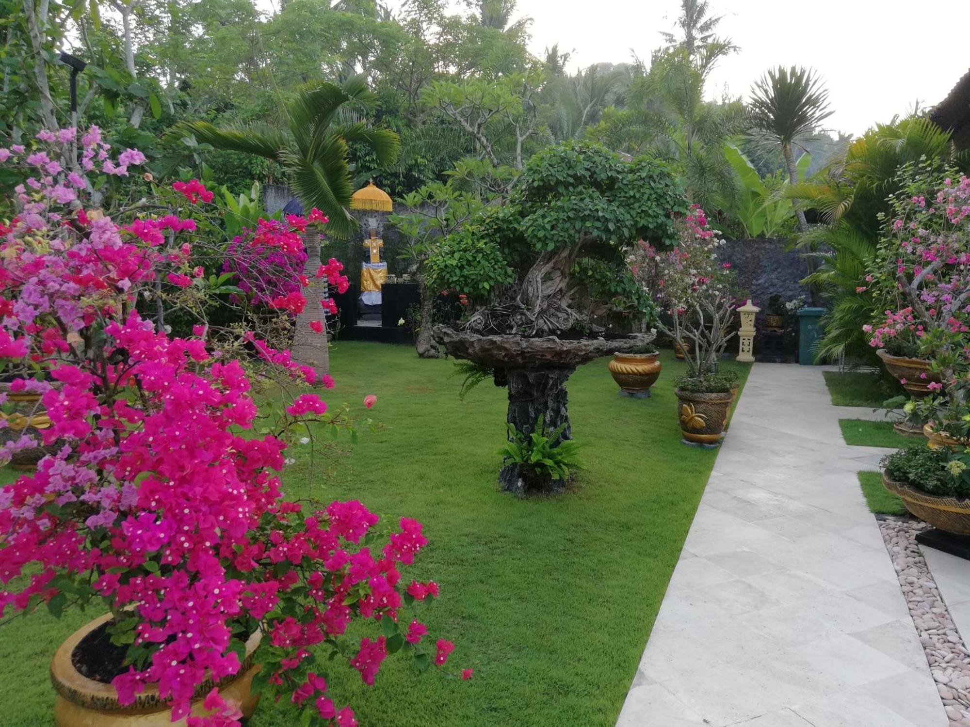Villa Gusmania จันดีดาซา ภายนอก รูปภาพ